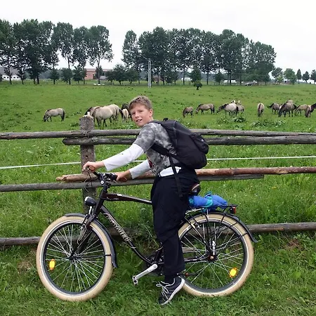 Ferienpark Galindia Refugia Iznota