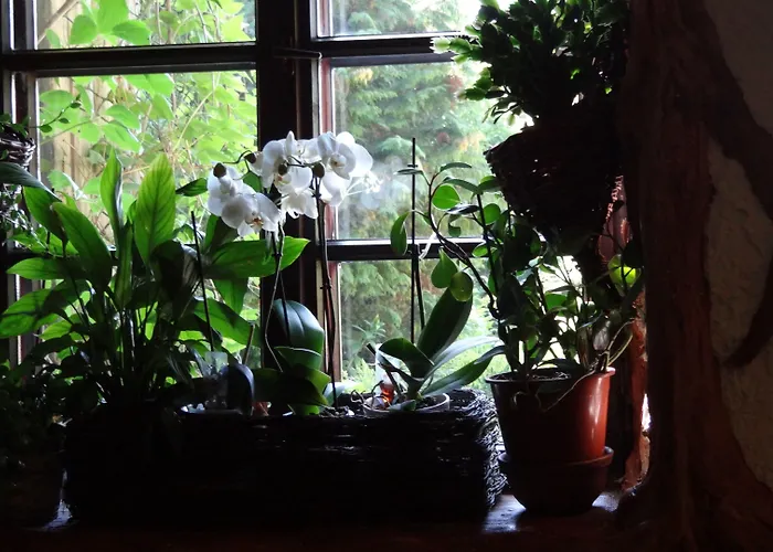 Galindia Refugia 3* Iznota